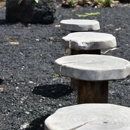 Casinha Da Avo Jeronima Rral 1519 بيت للعطل *