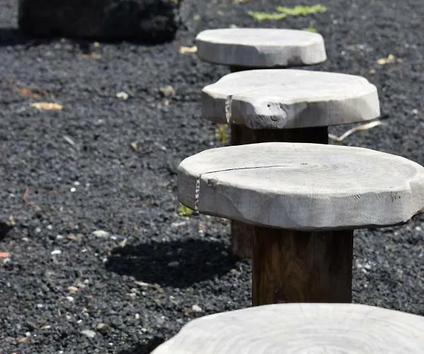 Casinha Da Avo Jeronima Rral 1519 Holiday home *